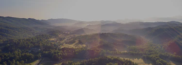 Farm-Fresh Luxury for Every Home
